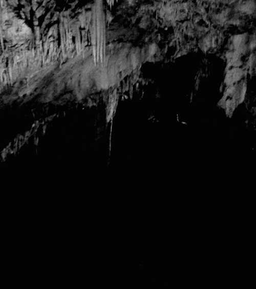 Abysmal Growls Of Despair : Etre Terre Avant de Naitre